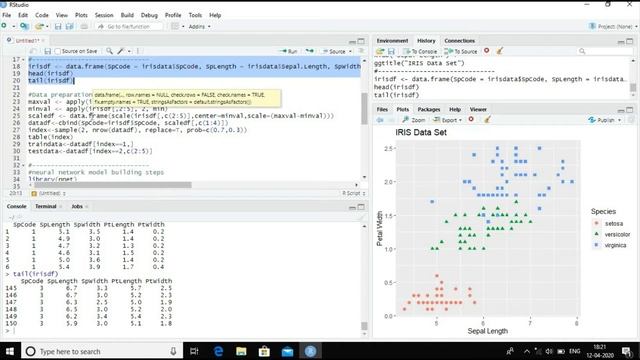 Neural Network Model in R - for iris flower classification using nnet смотреть онлайн