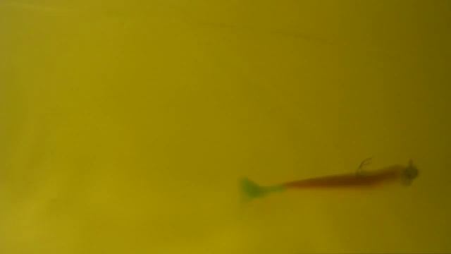 Fox Rage Pro Shad Firetails 7" Тест игры с силиконом "Стандарт" смотреть онлайн