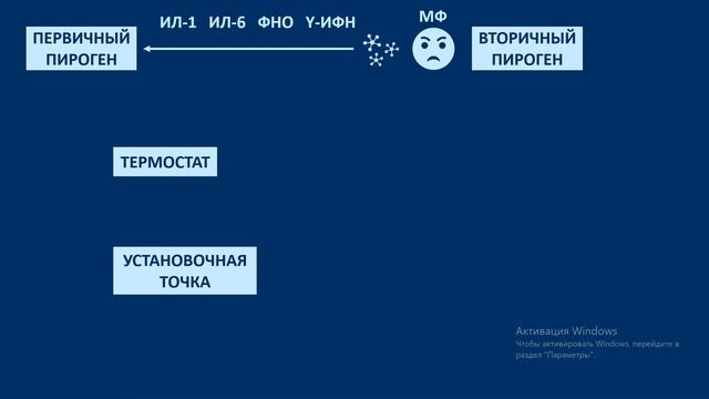 ЛИХОРАДКА. Патофизиология. Механизм образования лихорадки