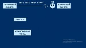 ЛИХОРАДКА. Патофизиология. Механизм образования лихорадки