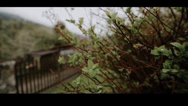CANON 6D x EF 16-35mm f/4L IS x VSCO Test смотреть онлайн