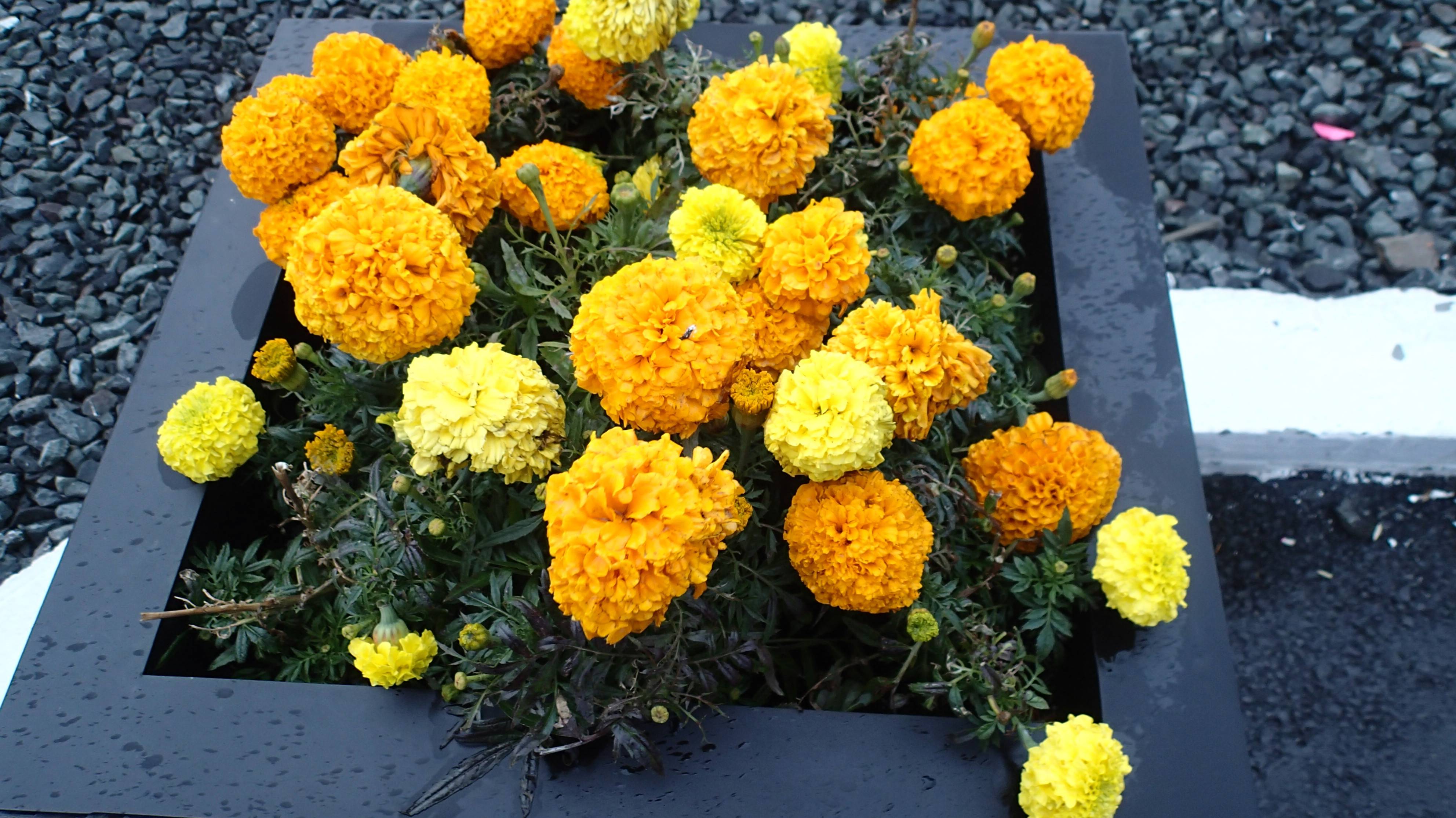 2024.09.09. Норильск. Норильские горы покрываются снегом. смотреть онлайн