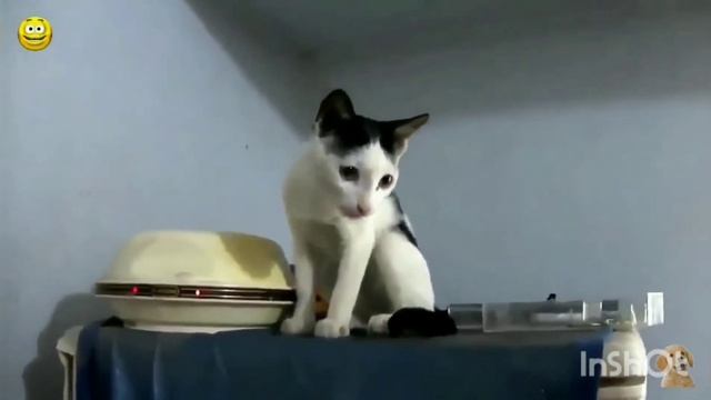 В эфире "Новости" Ядерная ракета? Шутка смотреть онлайн