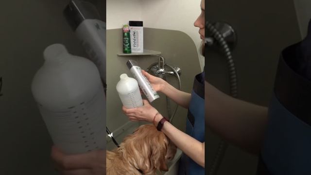 Формула идеальной шерсти ? смотреть онлайн