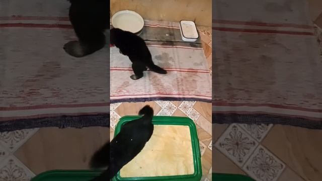 первый день без мамы смотреть онлайн