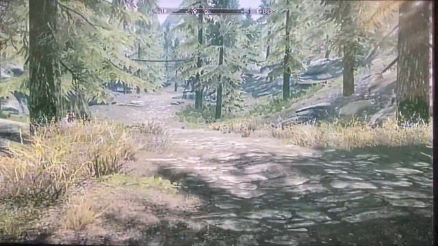 Skyrim - Walkthrough Part 222: The Hearthstone DLC Part 1 смотреть онлайн