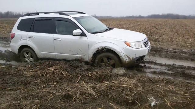 Subaru Forester 2010 Mud