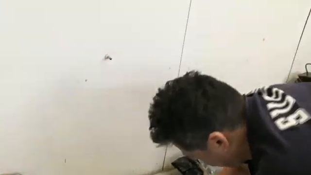 Sf доехал до дома на бревне