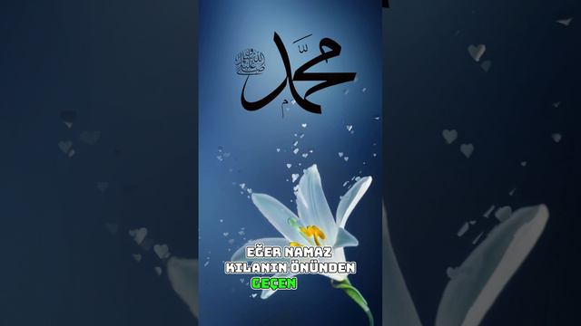 NAMAZIN ÖNÜNDEN GEÇMEK смотреть онлайн