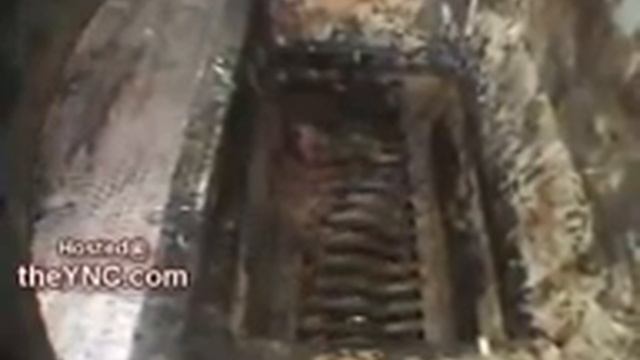 любишь колбасу;СМОТРИ что ты ЕШЬ смотреть онлайн