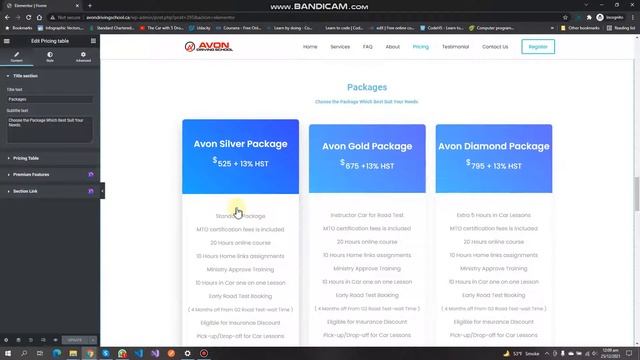 Avon Driving School WordPress guide through смотреть онлайн