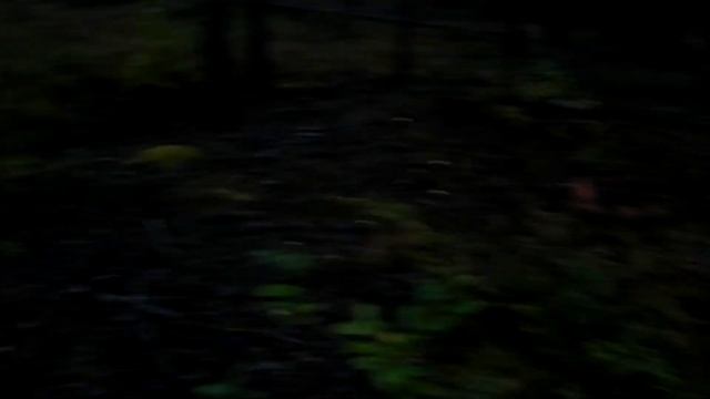 Путешествие по Карелии Сентябрь 2021 год смотреть онлайн