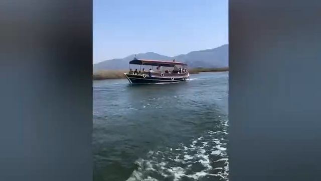 Экскурсия в Дальян Турция смотреть онлайн