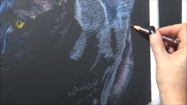 Colored Pencils - Drawing Black Fur On Black Paper - Cat Tutorial