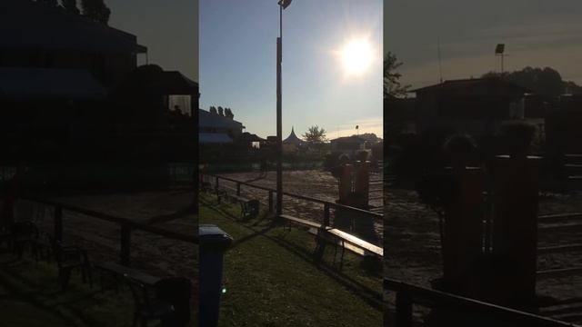 Concours 28/08/15 - Eranthis Hyemalis Vd Neerhoeve смотреть онлайн