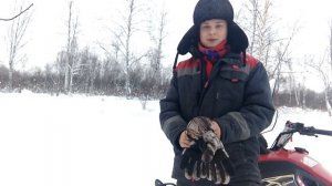 Стелс Капитан 150(200)Таскает дрова.  По глубокому снегу. Пробег 700км.