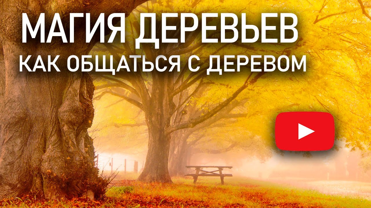 Деревья источник силы | Как зарядится энергией от деревьев