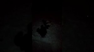 Дед мороз не принес подарки, почему?