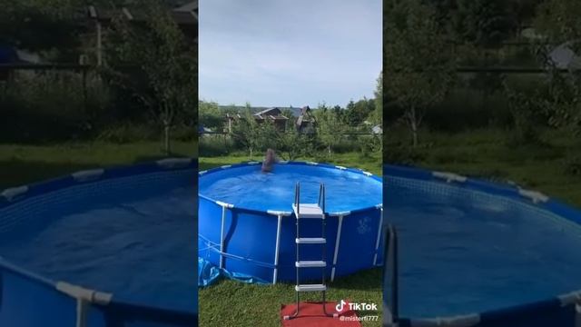 Что добавлять в бассейн чтобы вода не цвела смотреть онлайн