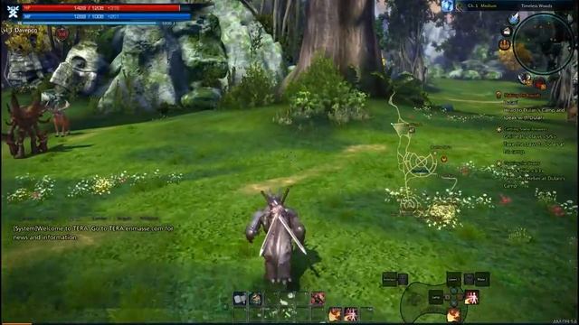 TERA Gameplay Asus Radeon HD 7770,AMD Athlon II X4 640 смотреть онлайн