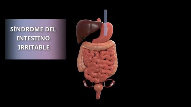 💊 Bromuro De PINAVERIO Para Que SIRVE 💊 Tabletas De 100 Mg