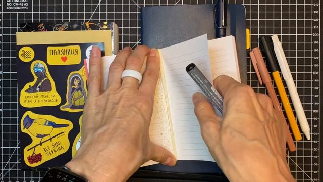 Серия коротких обзоров на канцелярию. Schneider Universal permanent marker REVIEW смотреть онлайн