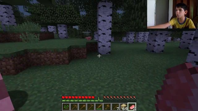 minecraft #1 tin grez смотреть онлайн