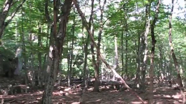 Туристический поход по маршруту: Гора Бойка - Басман - Кемаль-Эгерек (27-30.06.2018) смотреть онлайн