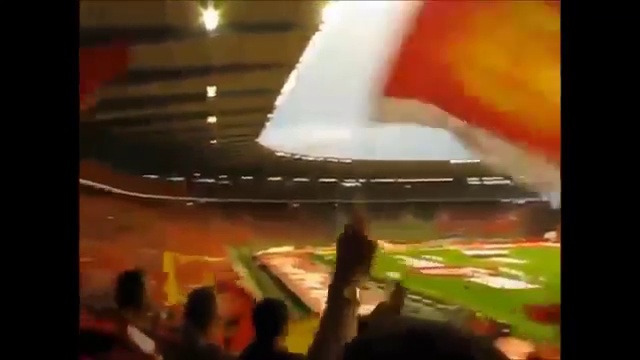 Belgium National Football Team 2014 World Cup