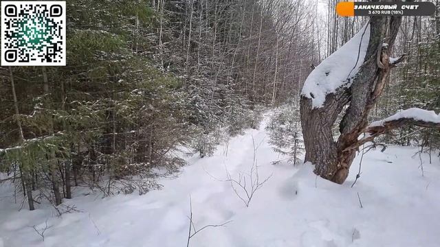 Зимний поход с Гошей смотреть онлайн