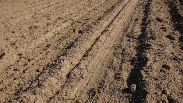 Минитрактор Кэтман 35,3 боронование самодельной бороной смотреть онлайн