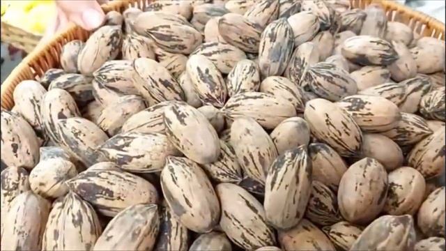 Afghanistan’s White Gold, 3.6 Billion Pounds Of pine nuts | import-export| industrial @DynoMegaproj смотреть онлайн