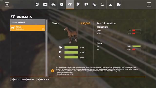 Farming Simulator 19 Guide to Horses - Horse Paddocks, Buying Horses, Selling Horses, Feeding Horse смотреть онлайн