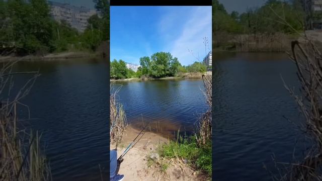 Свободное время. Ловля рыбы (A1)