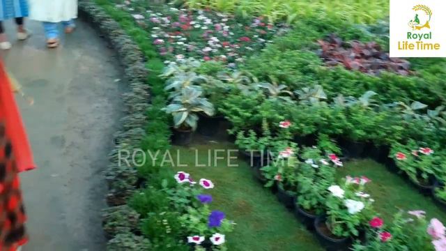 Kottayam Flower Show 2021 смотреть онлайн