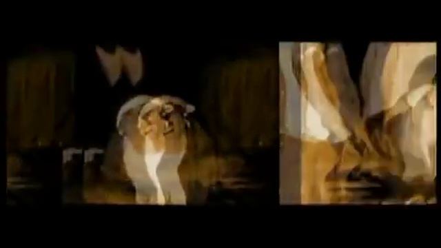 Misho Shamara - Bqhme Deca