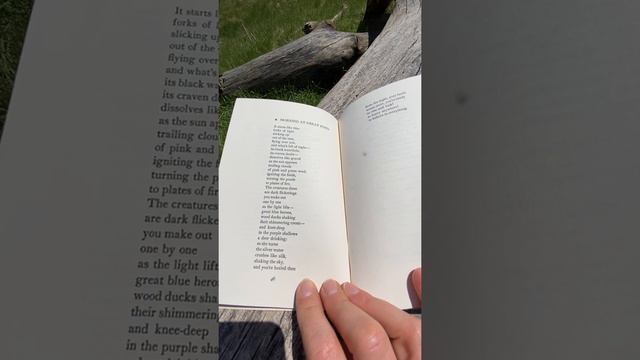 Mary Oliver poem: Morning at Great Pond смотреть онлайн