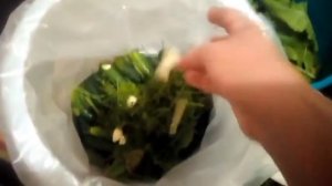 Засолка огурцов в бочке . Легко. Очень вкусные. Не портятся.