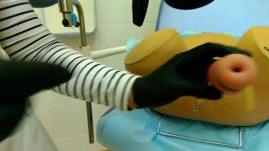 Алгоритм обследования женских половых органов