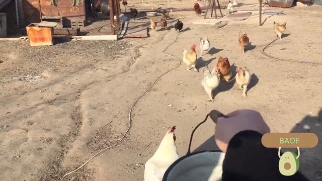 #капчагай #казахстан #алматы#влог Влог : Дым пашол?? Все под контролем ? капчагай смотреть онлайн