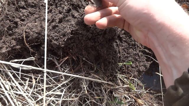 Радовался находке не долго! Поиск монет с Minelab Equinox 600 смотреть онлайн