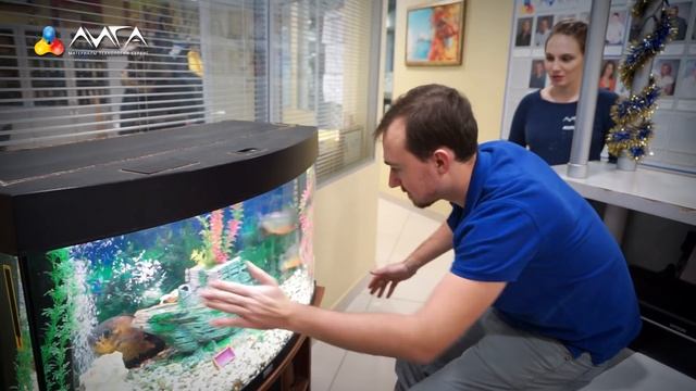 168. Самый жизнеспособный лак - 24 часа для трехкомпонентной смеси смотреть онлайн