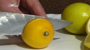 Как выбрать лимон? Сохраняйте чек