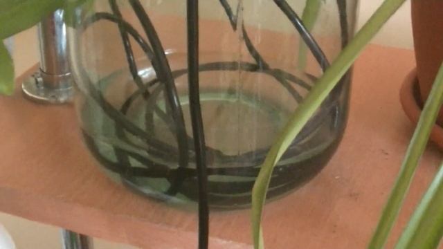 система автополива комнатных растений смотреть онлайн