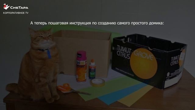 Лежак для кошки из картонной коробки смотреть онлайн