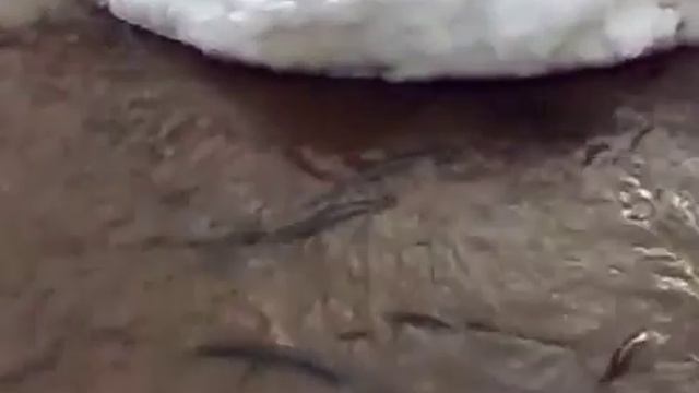 ловля щук смотреть онлайн