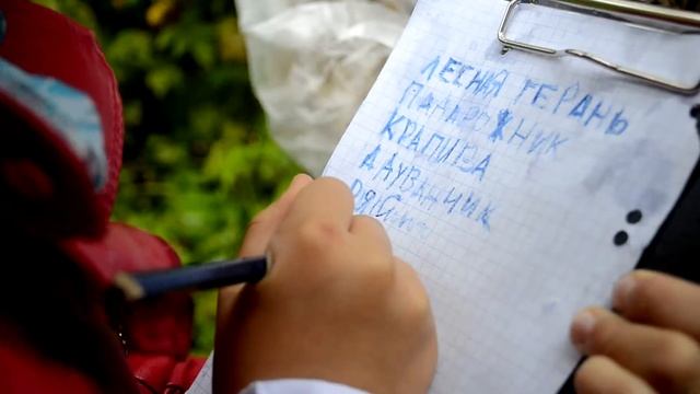 Экскурсия на местный водоем. смотреть онлайн