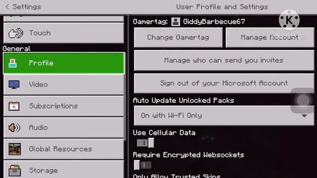 Minecraft Bedrock How To Fix Molang Error смотреть онлайн