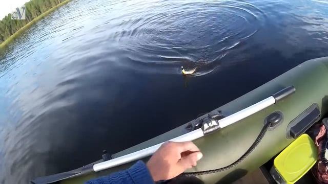 Топ 10 уловистых китайских воблеров по сезону 2018г#China смотреть онлайн