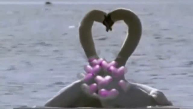 Анастасия Рябова смотреть онлайн